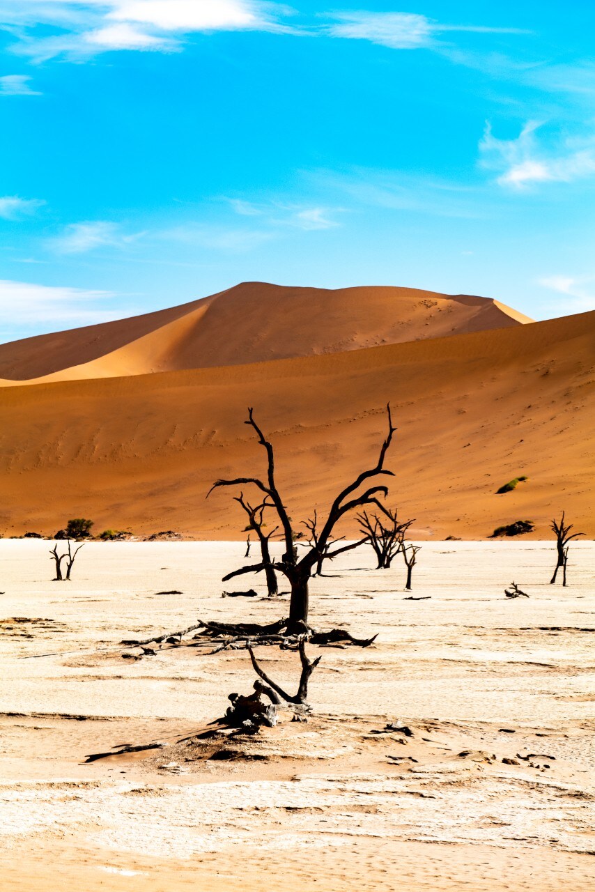 Turismo: Transafrica